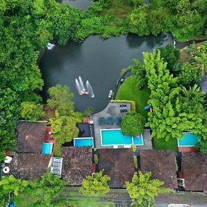 Athirapally Green Trees